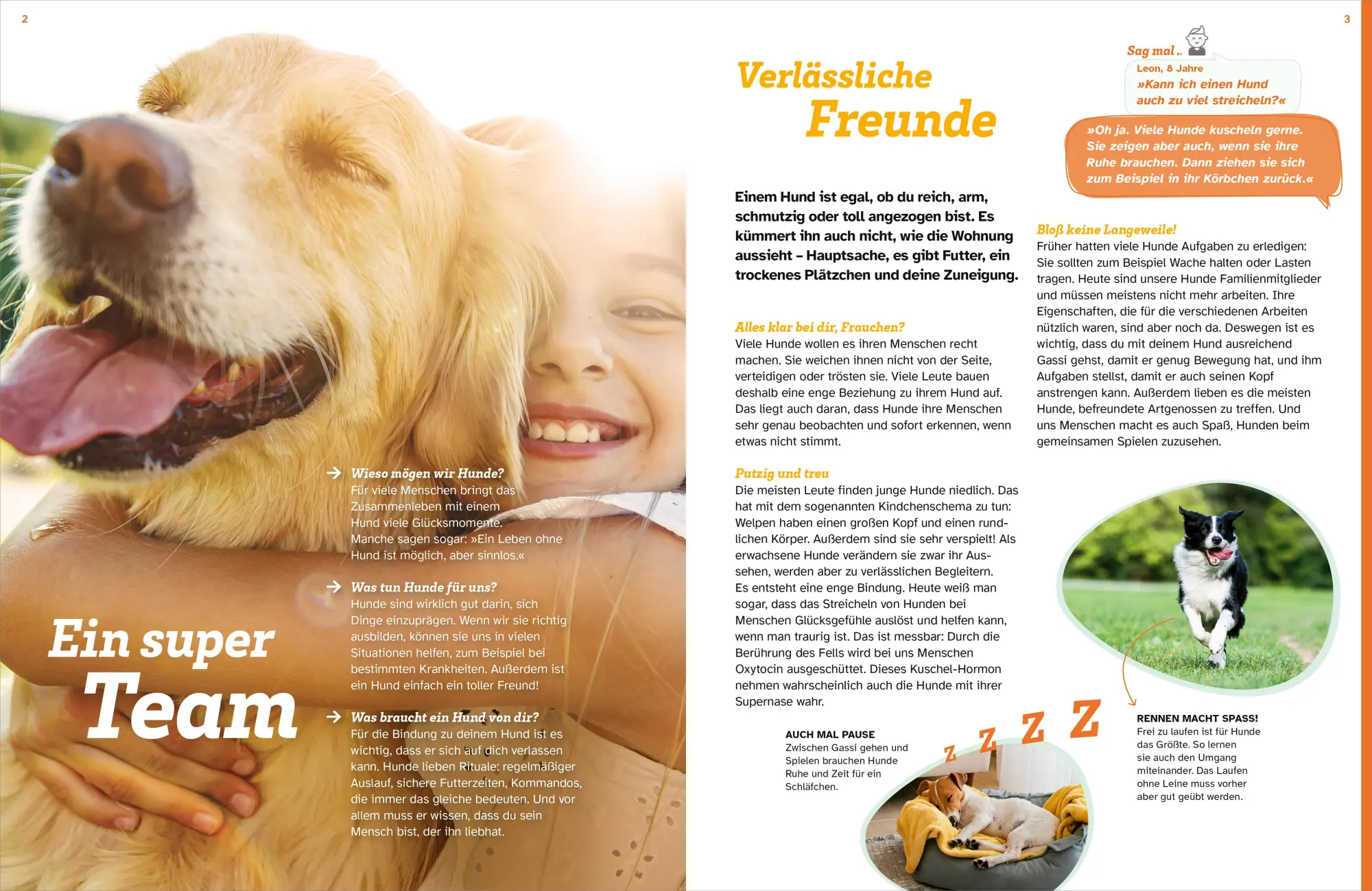 Bild: 9783788681968 | WAS IST WAS Hunde. Auf die Pfoten, fertig, los! | Christine Paxmann