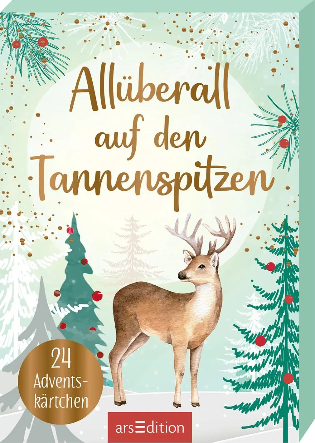 Cover: 9783845861968 | Allüberall auf den Tannenspitzen | 24 Adventskärtchen | Taschenbuch