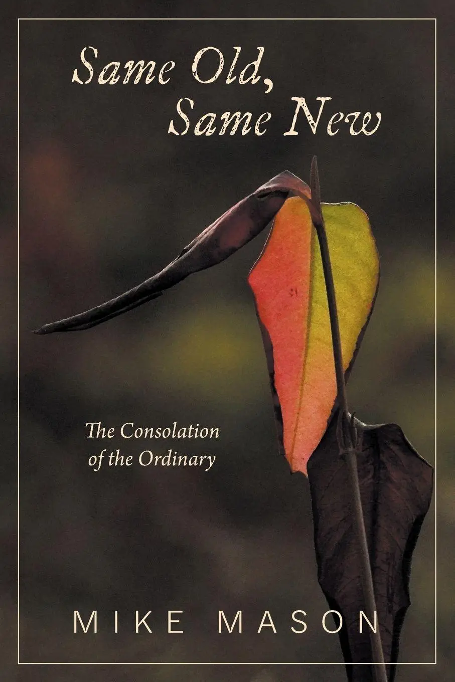 Cover: 9781038312068 | Same Old, Same New | The Consolation of the Ordinary | Mike Mason