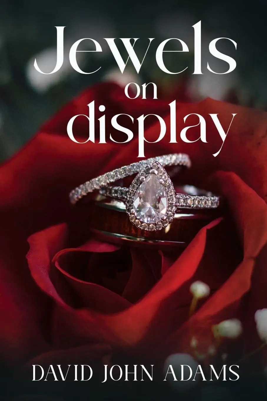 Cover: 9781835432068 | Jewels on Display | David John Adams | Taschenbuch | Englisch | 2025