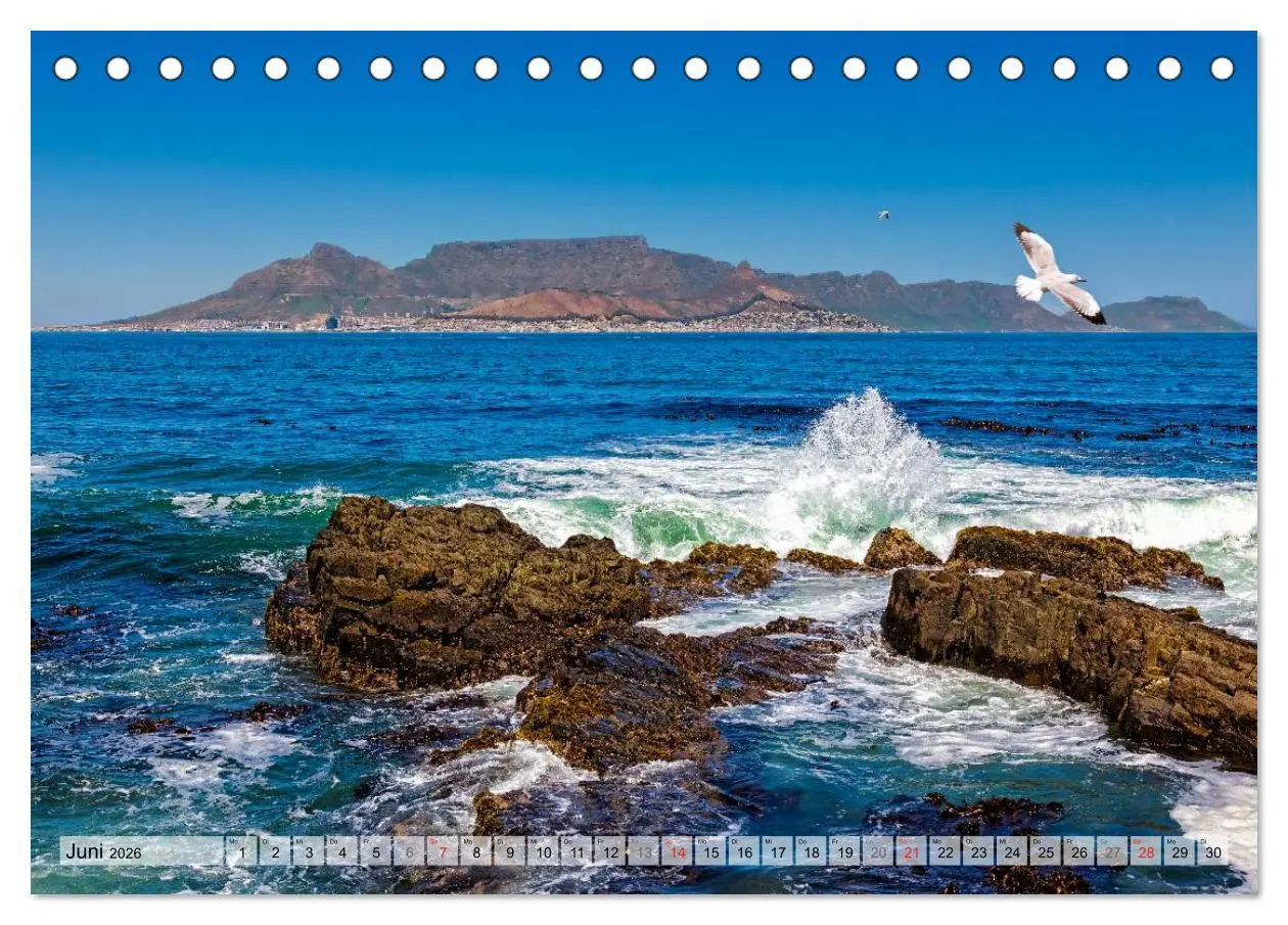 Bild: 9783516212068 | Westkap Südafrika (Tischkalender 2026 DIN A5 quer), CALVENDO...