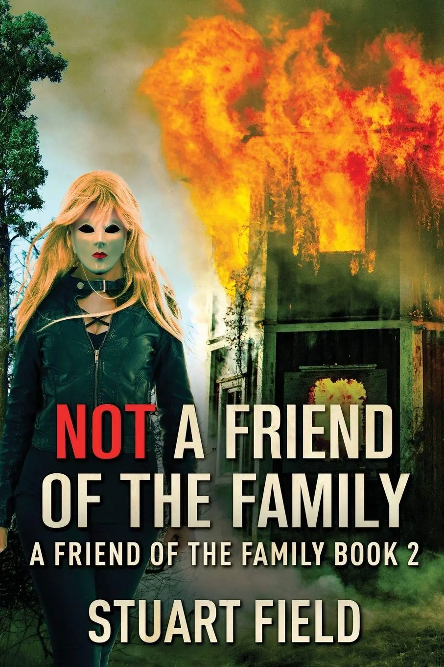 Cover: 9784824172068 | Not A Friend Of The Family | Stuart Field | Taschenbuch | Englisch
