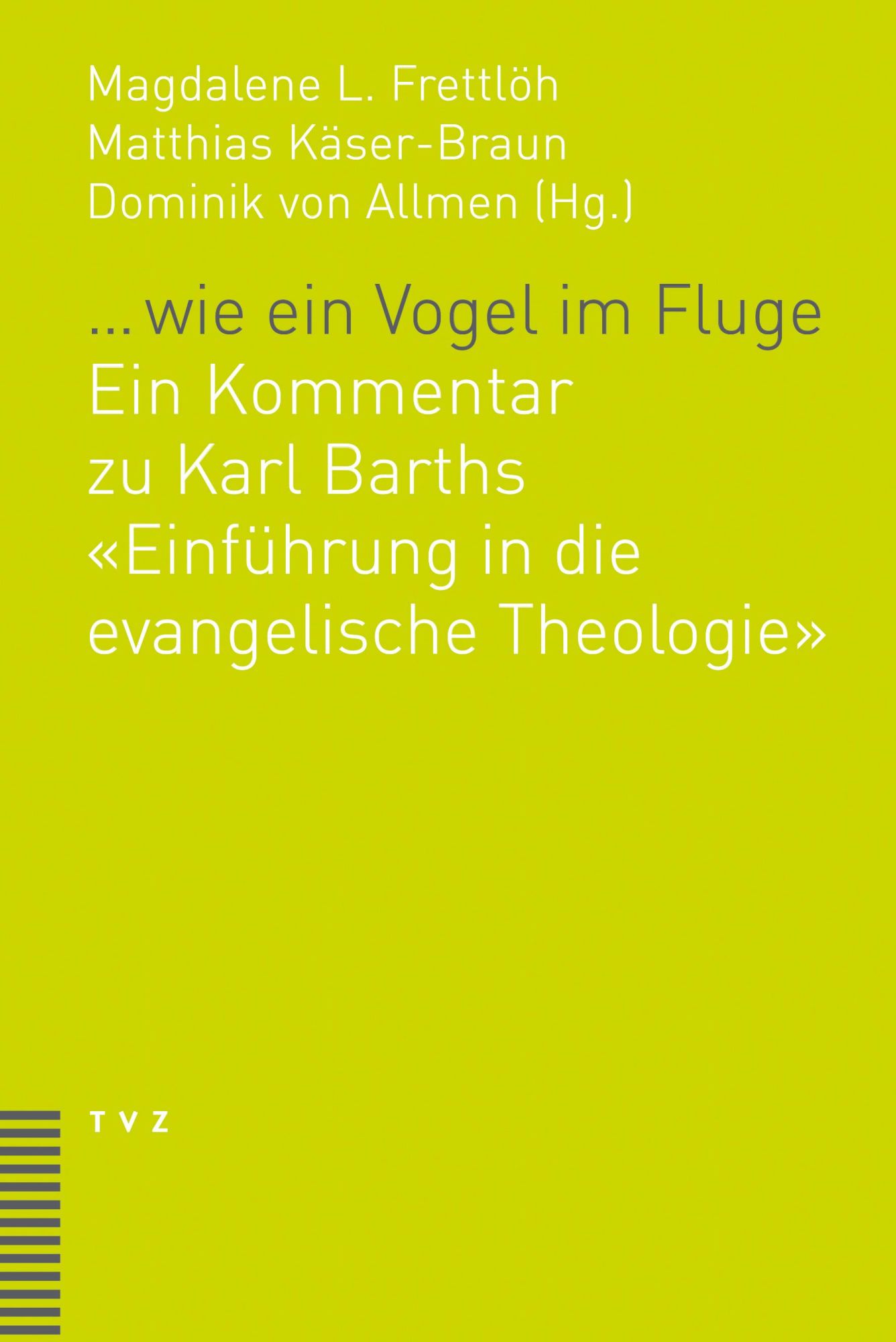 Cover: 9783290182168 | ... wie ein Vogel im Fluge | Dominik von Allmen-Mäder (u. a.) | Buch