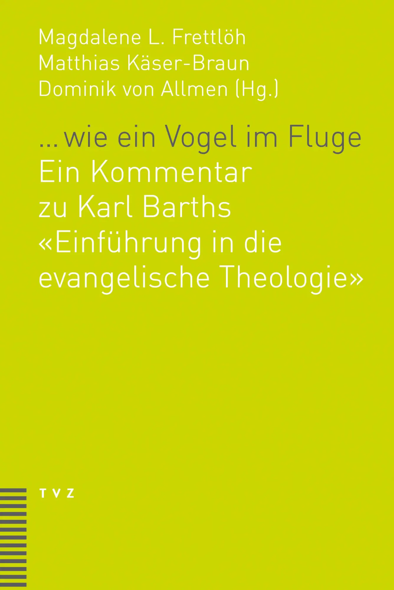 Cover: 9783290182168 | ... wie ein Vogel im Fluge | Dominik von Allmen-Mäder (u. a.) | Buch