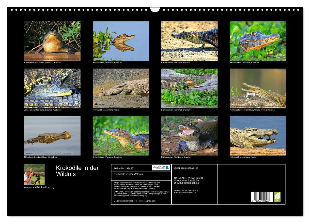 Bild: 9783457802168 | Krokodile in der Wildnis (Wandkalender 2026 DIN A2 quer), CALVENDO...