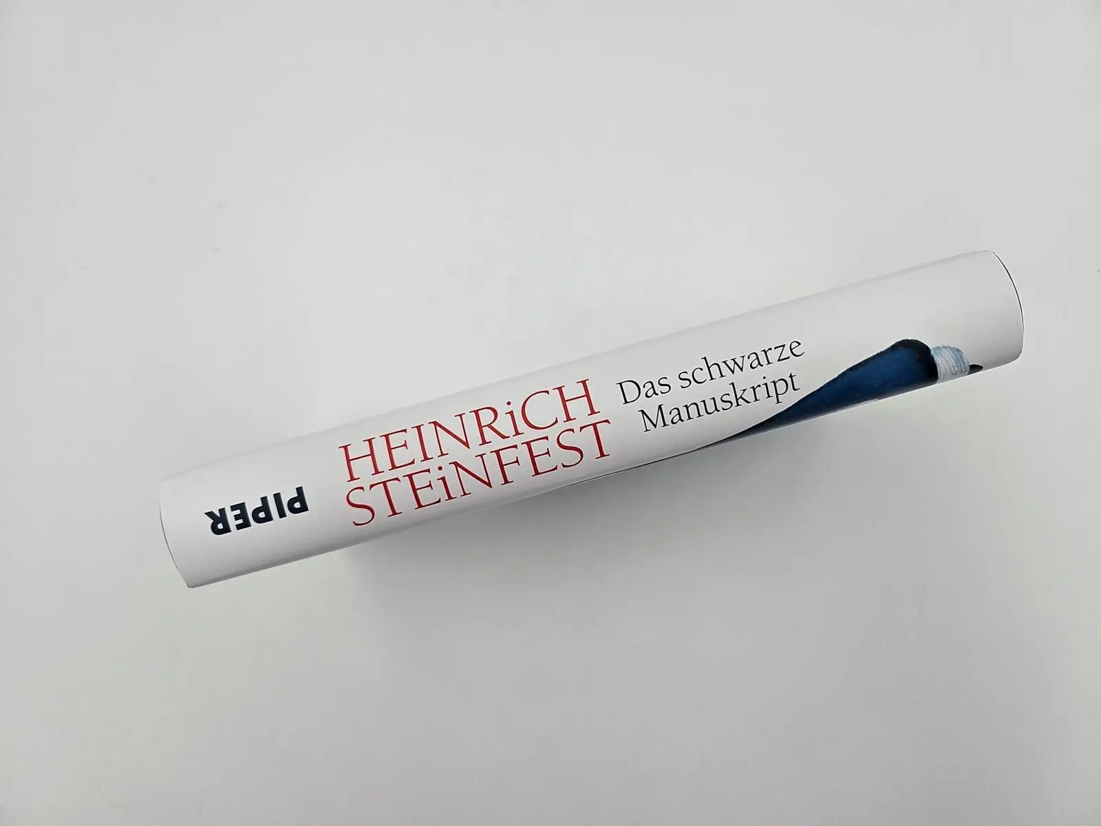 Bild: 9783492072168 | Das schwarze Manuskript | Heinrich Steinfest | Buch | 240 S. | Deutsch