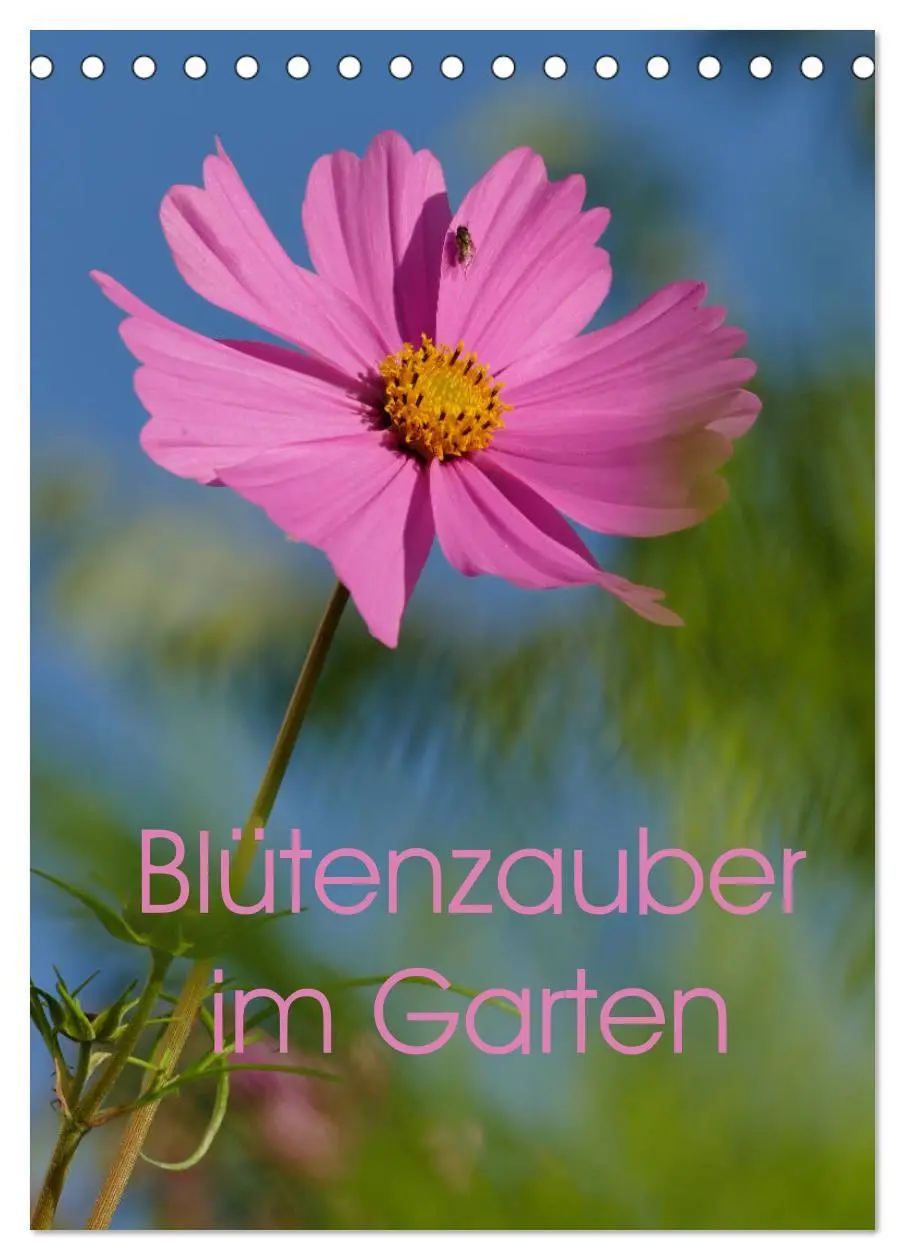 Cover: 9783516372168 | Blütenzauber im Garten (Tischkalender 2026 DIN A5 hoch), CALVENDO...