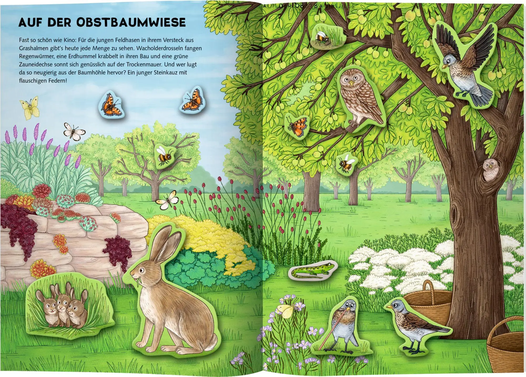 Bild: 9783649652168 | Natur-Stickerwelt: Tiere in Wald und Wiese | Ruby Warnecke | Buch