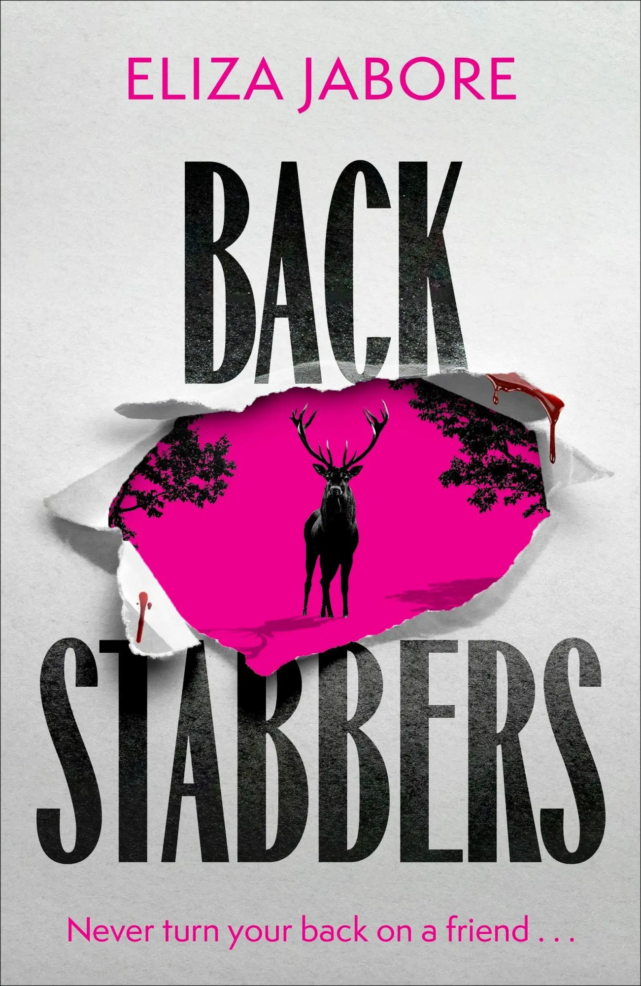 Cover: 9781408722268 | Backstabbers | A deliciously dark thriller for fans of Yellowjackets