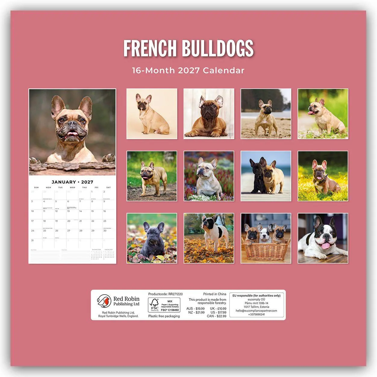 Rückseite: 9781837012268 | French Bulldogs - Französische Bulldoggen 2027 - 16-Monatskalender