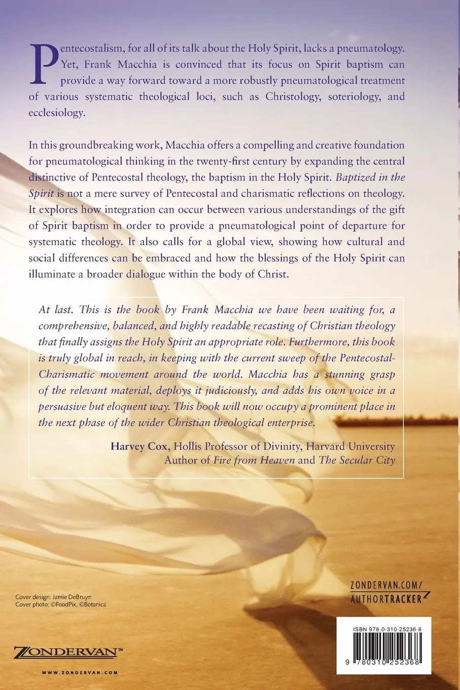 Rückseite: 9780310252368 | Baptized in the Spirit | A Global Pentecostal Theology | Macchia