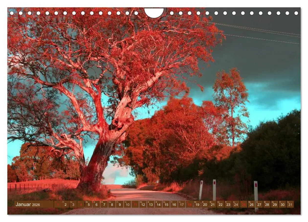 Bild: 9783516112368 | Australien ¿ Impressionen (Wandkalender 2026 DIN A4 quer), CALVENDO...