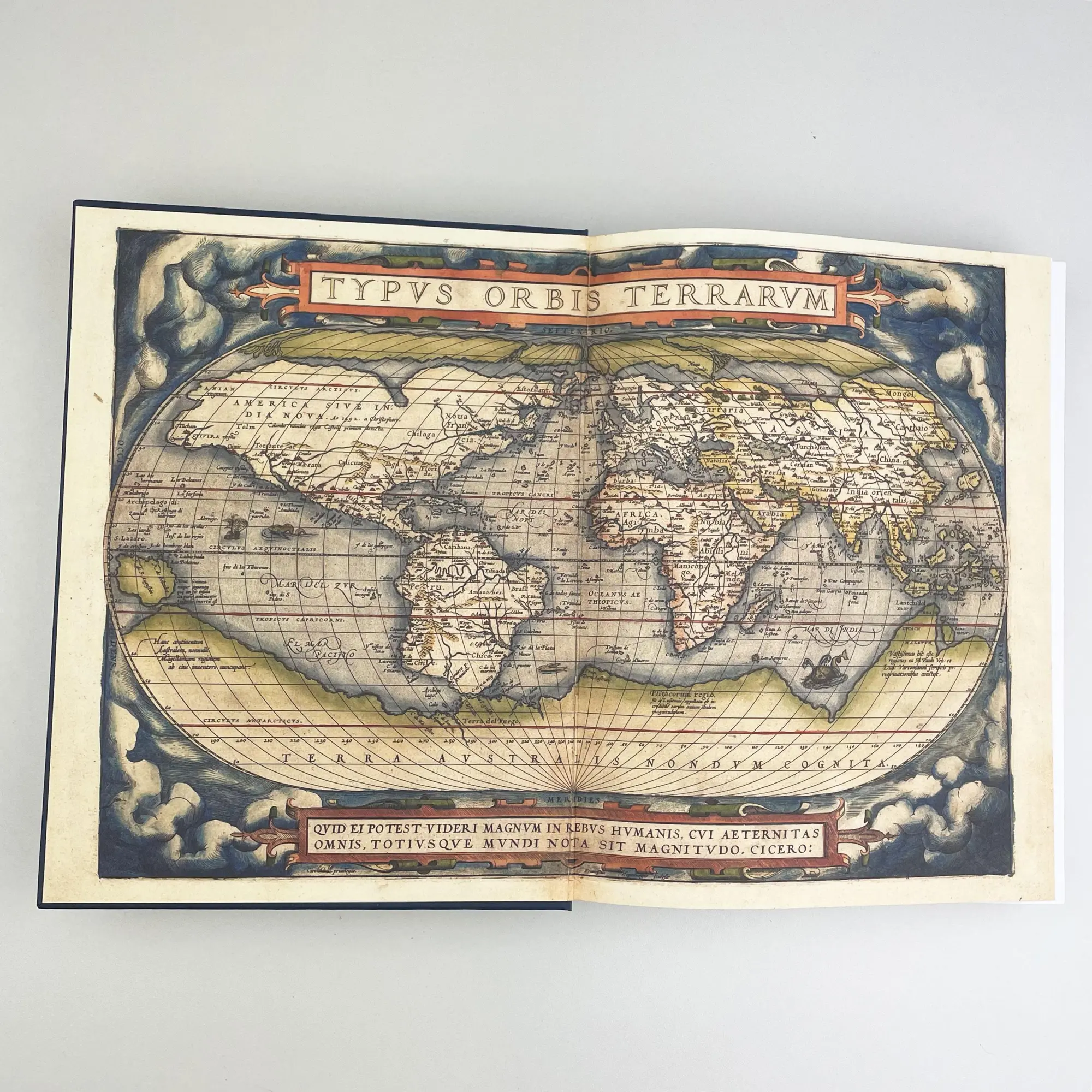 Bild: 9783423282468 | Auf einem Blatt die ganze Welt | Thomas Reinertsen Berg | Buch | 2020