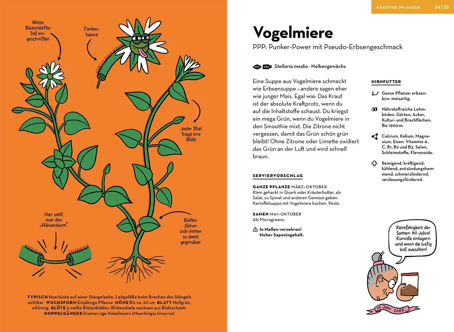 Bild: 9783440182468 | Wilde Pflanzen essen | Christine Rauch (u. a.) | Taschenbuch | 144 S.