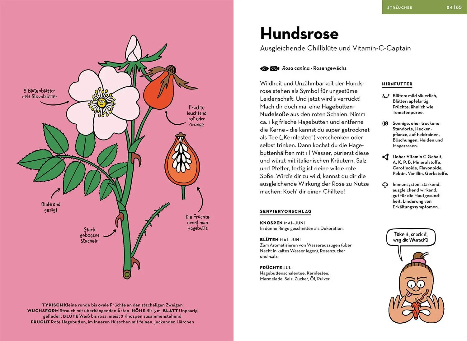 Bild: 9783440182468 | Wilde Pflanzen essen | Christine Rauch (u. a.) | Taschenbuch | 144 S.
