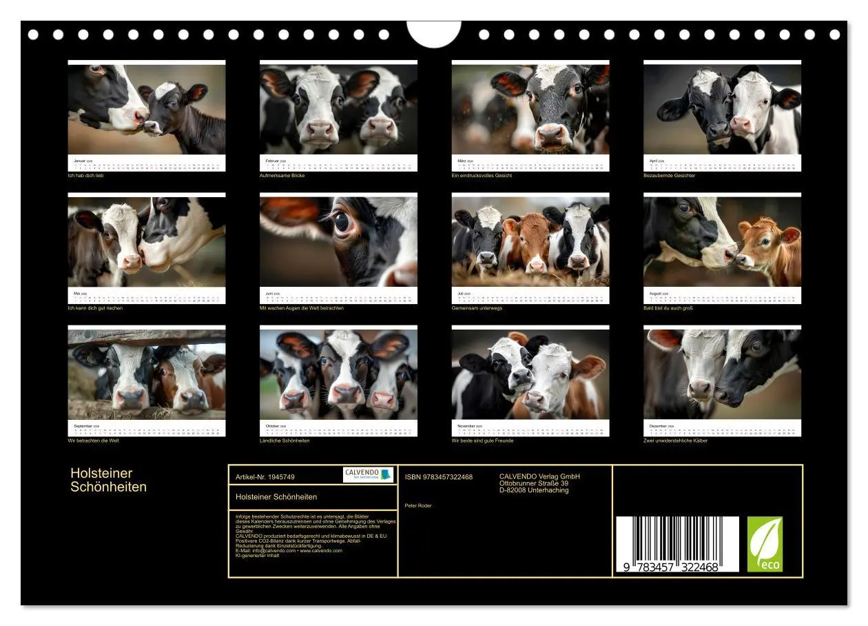 Bild: 9783457322468 | Holsteiner Schönheiten (Wandkalender 2026 DIN A4 quer), CALVENDO...