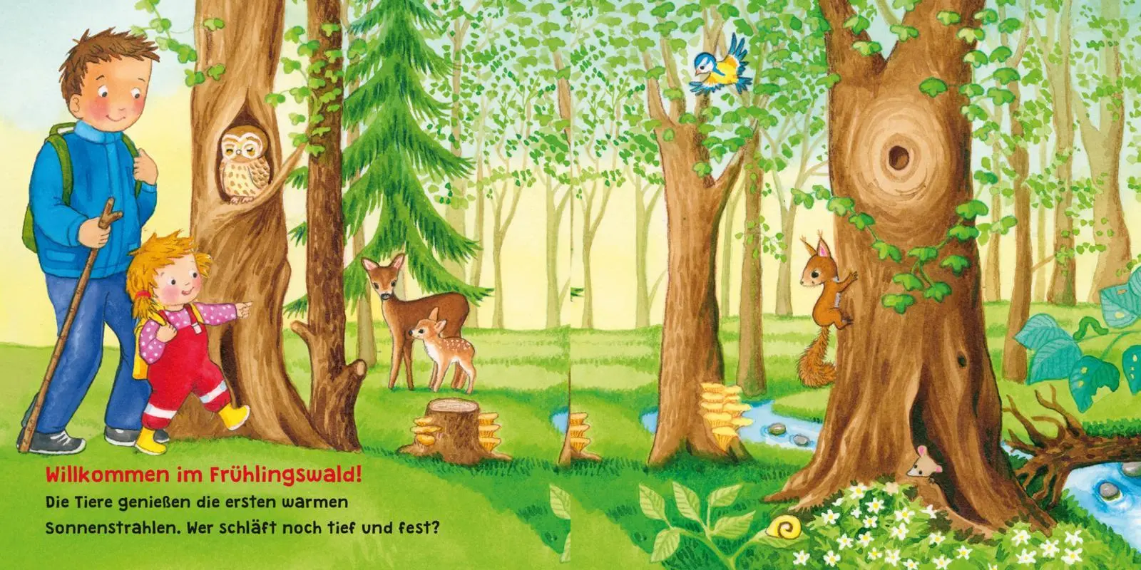 Bild: 9783551062468 | Baby Pixi (unkaputtbar) 129: Mein Lieblingsbuch vom Wald | Gruber