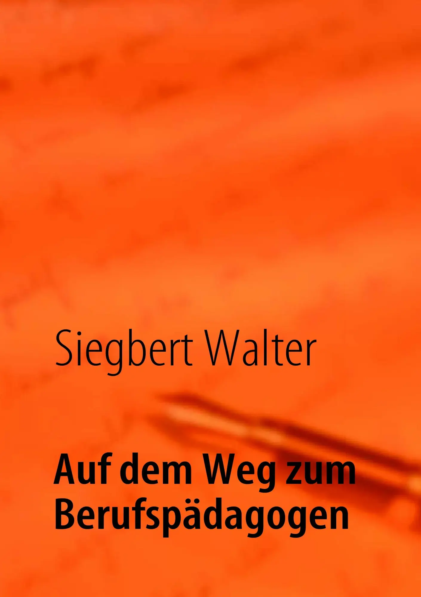 Cover: 9783842362468 | Auf dem Weg zum Berufspädagogen | Siegbert Walter | Taschenbuch | 2011
