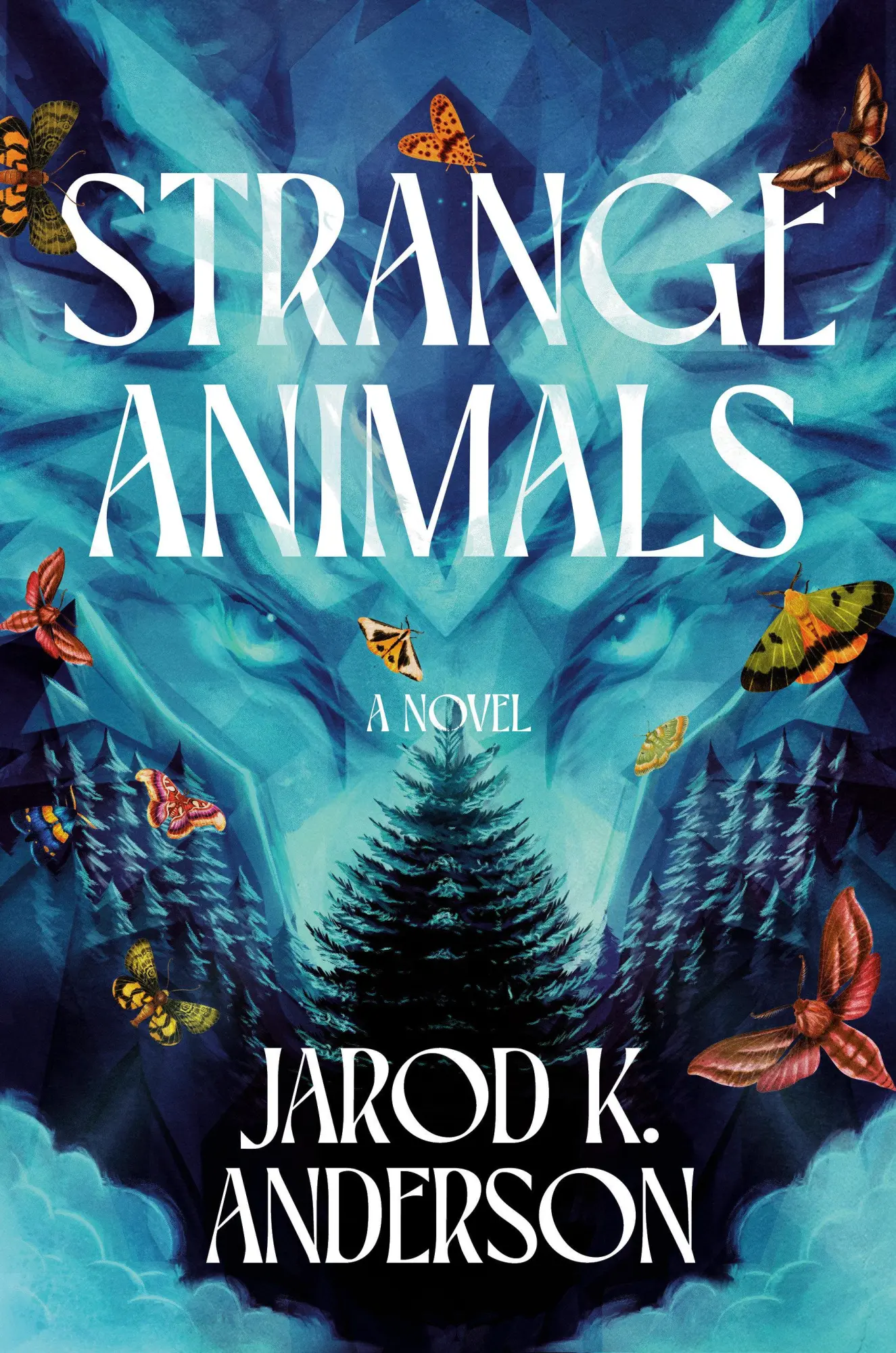 Cover: 9798217092468 | Strange Animals | Jarod K Anderson | Buch | Einband - fest (Hardcover)