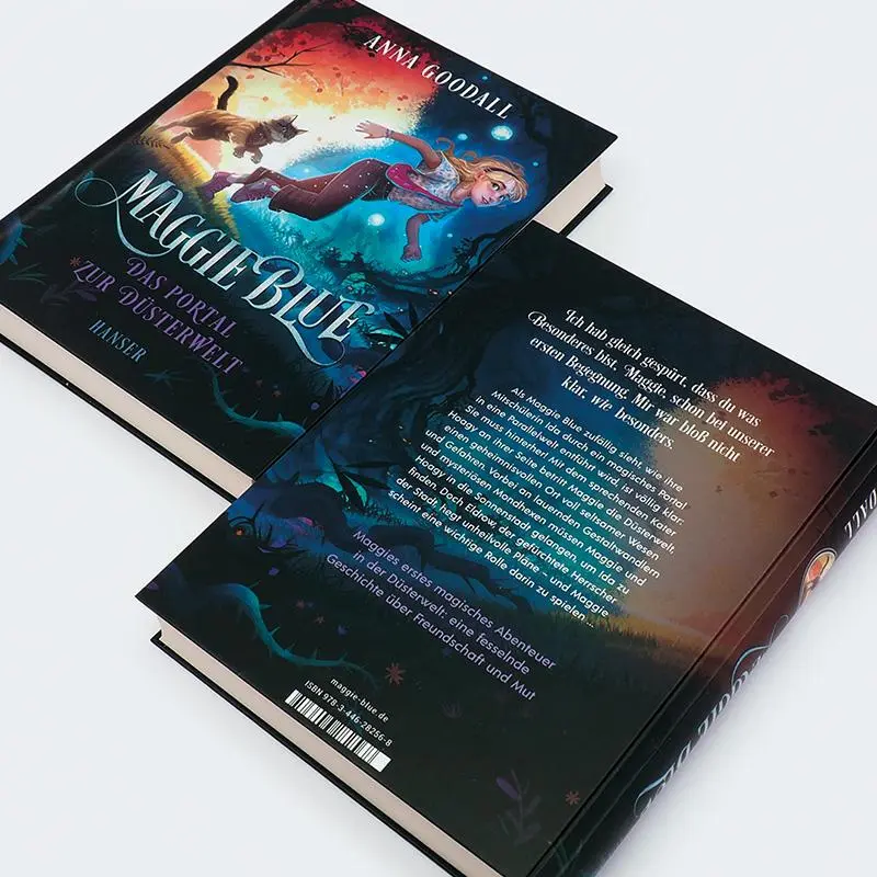 Bild: 9783446282568 | Maggie Blue - Das Portal zur Düsterwelt | Anna Goodall | Buch | 312 S.