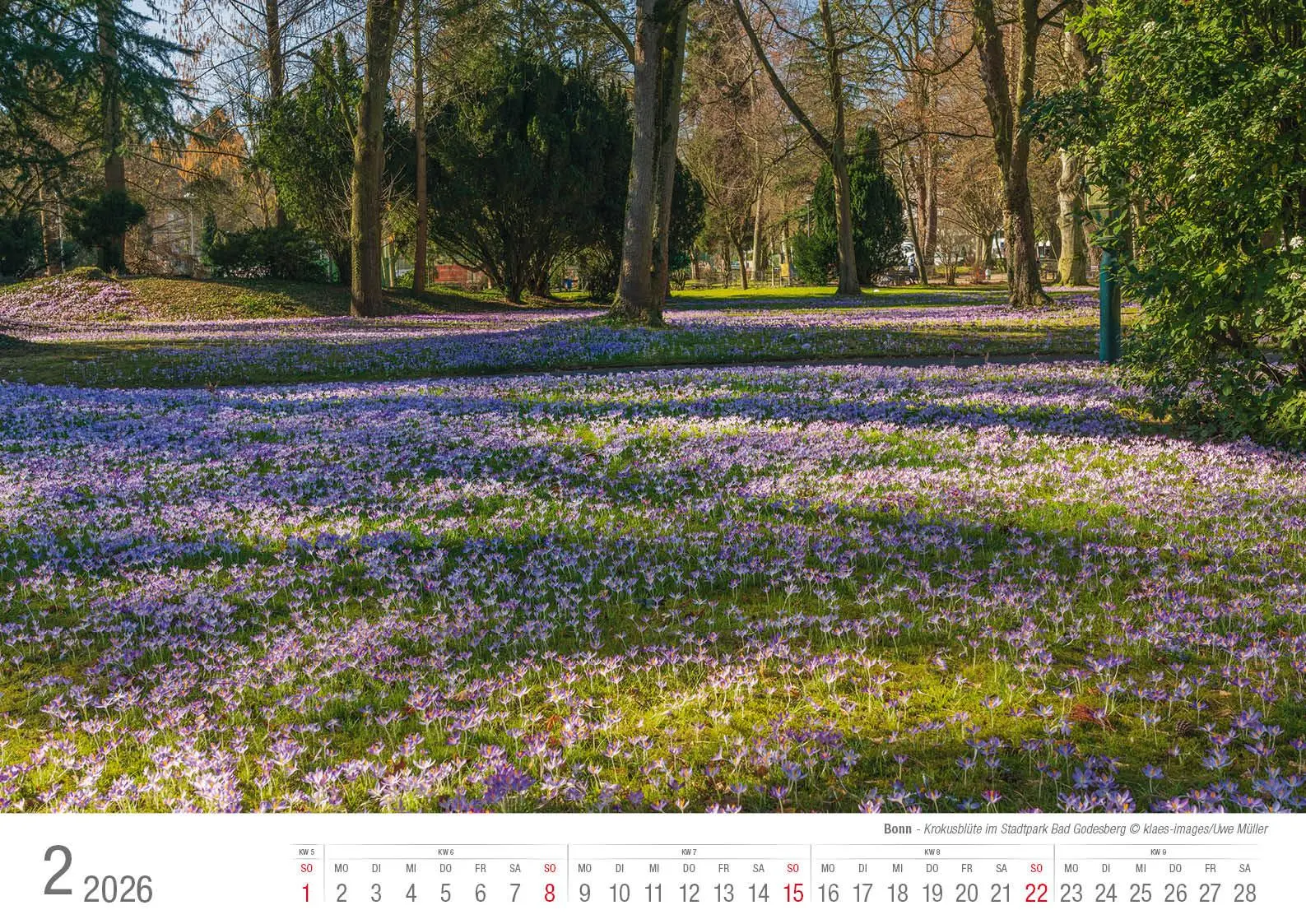 Bild: 9783965352568 | Bonn 2026 Bildkalender A3 quer, spiralgebunden | Holger Klaes | 2026