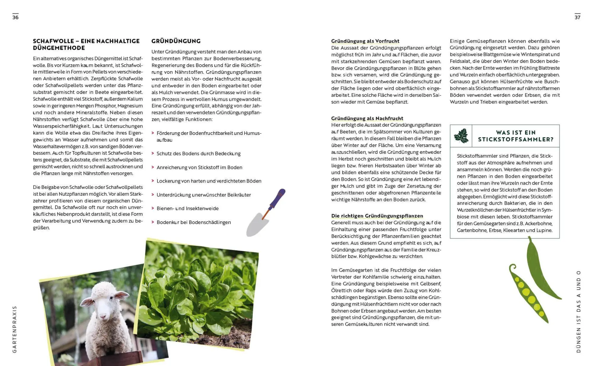 Bild: 9783745932768 | Gartenmomente: Gemüse | Taschenbuch | 80 S. | Deutsch | 2026