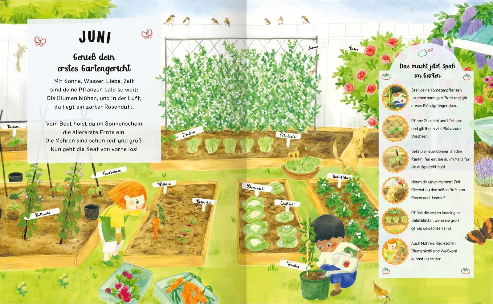 Bild: 9783845852768 | Ein Jahr im Garten | Kay Maguire | Buch | Hardcover mit Goldfolie