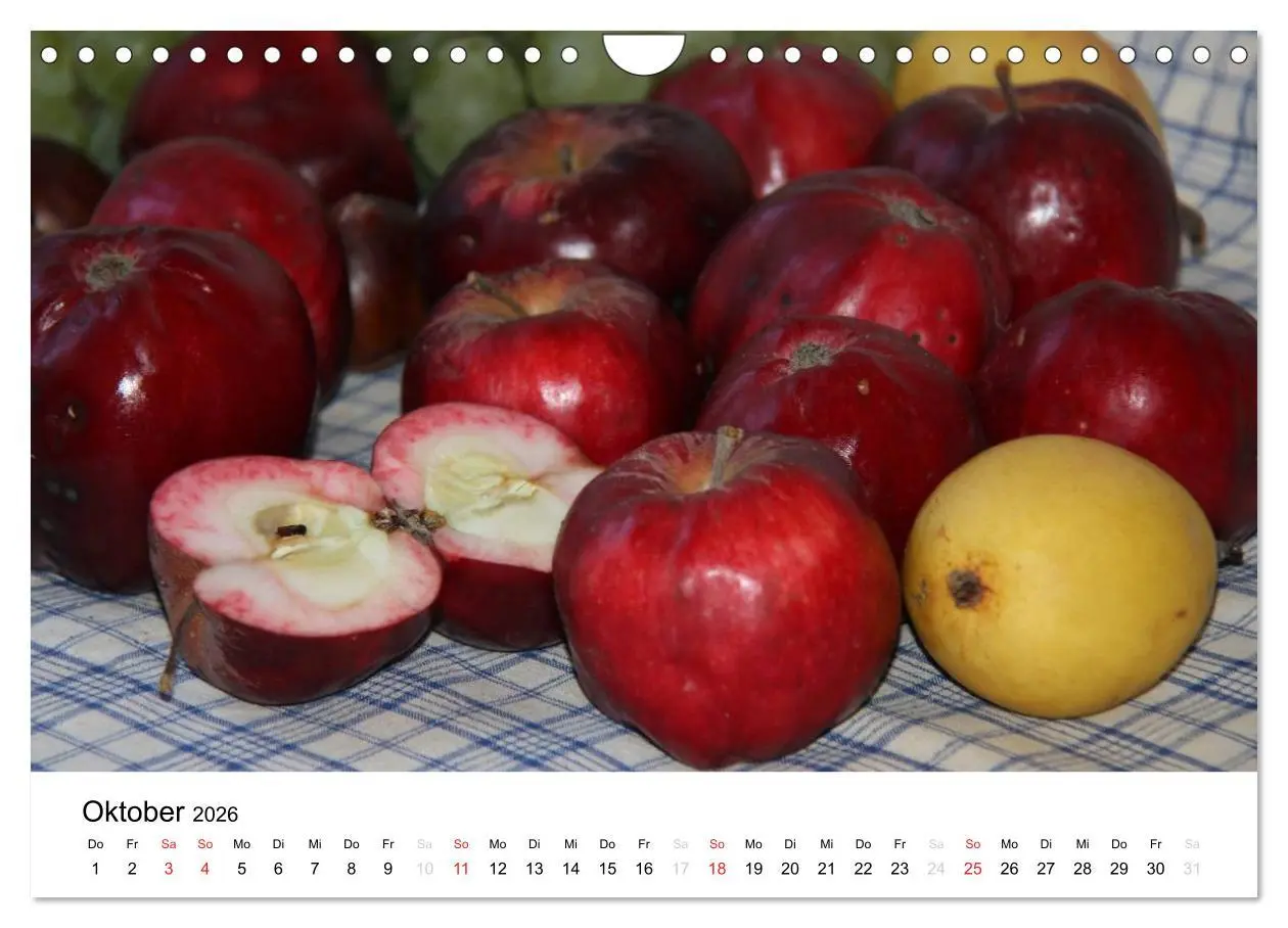 Bild: 9783516162868 | Alte Apfelsorten (Wandkalender 2026 DIN A4 quer), CALVENDO...