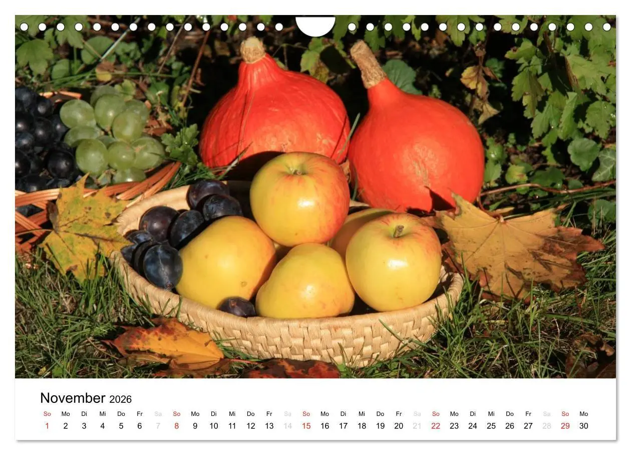 Bild: 9783516162868 | Alte Apfelsorten (Wandkalender 2026 DIN A4 quer), CALVENDO...