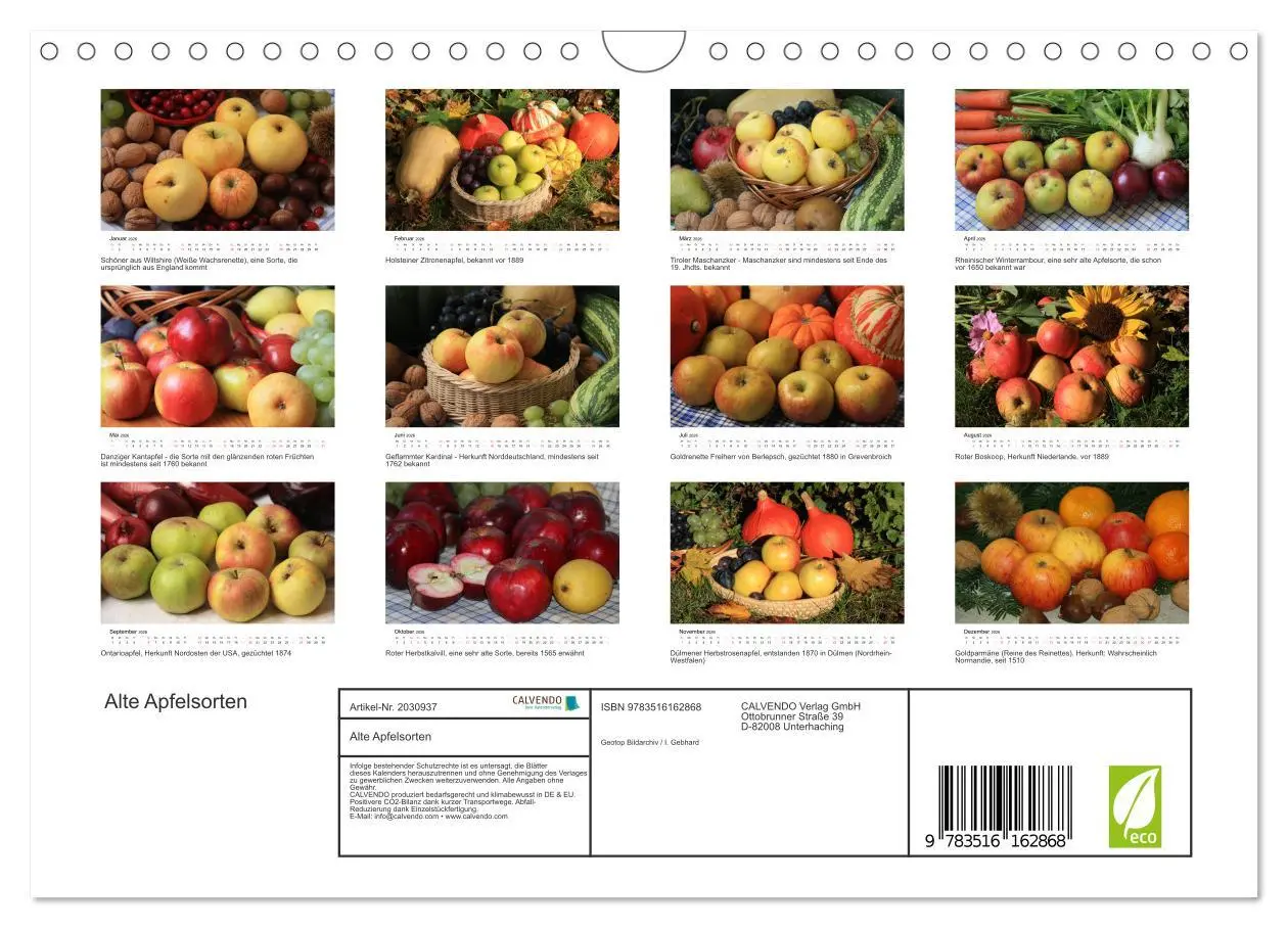 Bild: 9783516162868 | Alte Apfelsorten (Wandkalender 2026 DIN A4 quer), CALVENDO...