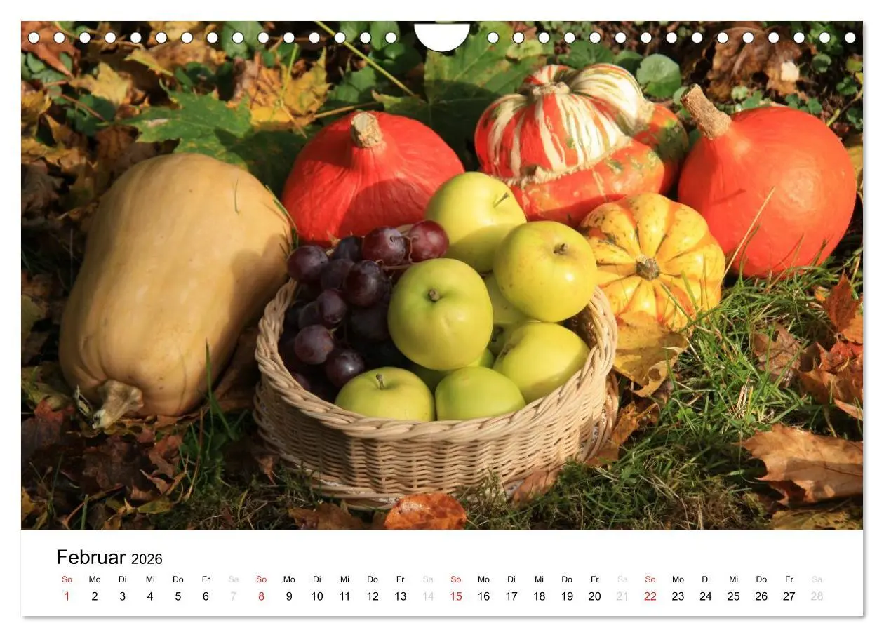 Bild: 9783516162868 | Alte Apfelsorten (Wandkalender 2026 DIN A4 quer), CALVENDO...