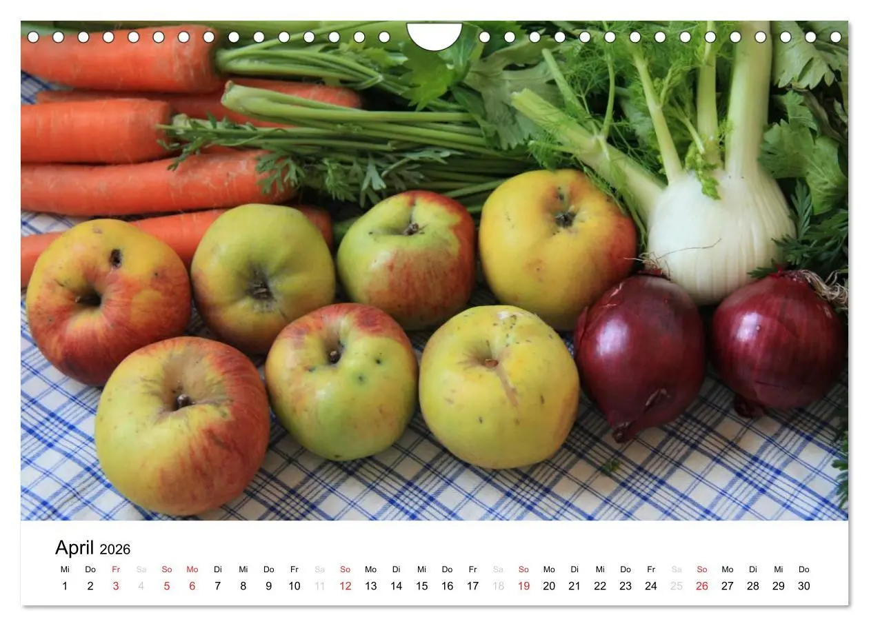 Bild: 9783516162868 | Alte Apfelsorten (Wandkalender 2026 DIN A4 quer), CALVENDO...