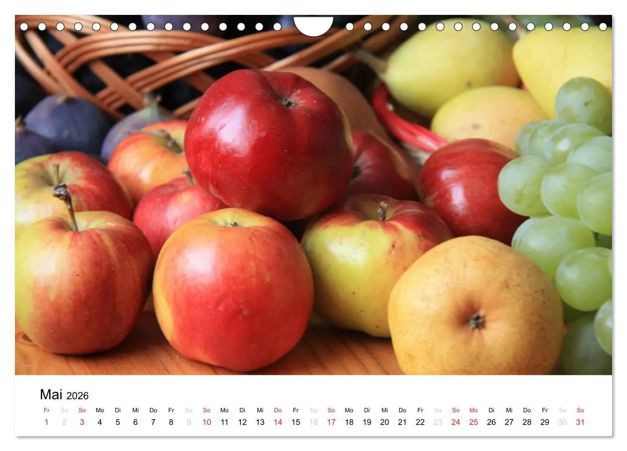 Bild: 9783516162868 | Alte Apfelsorten (Wandkalender 2026 DIN A4 quer), CALVENDO...