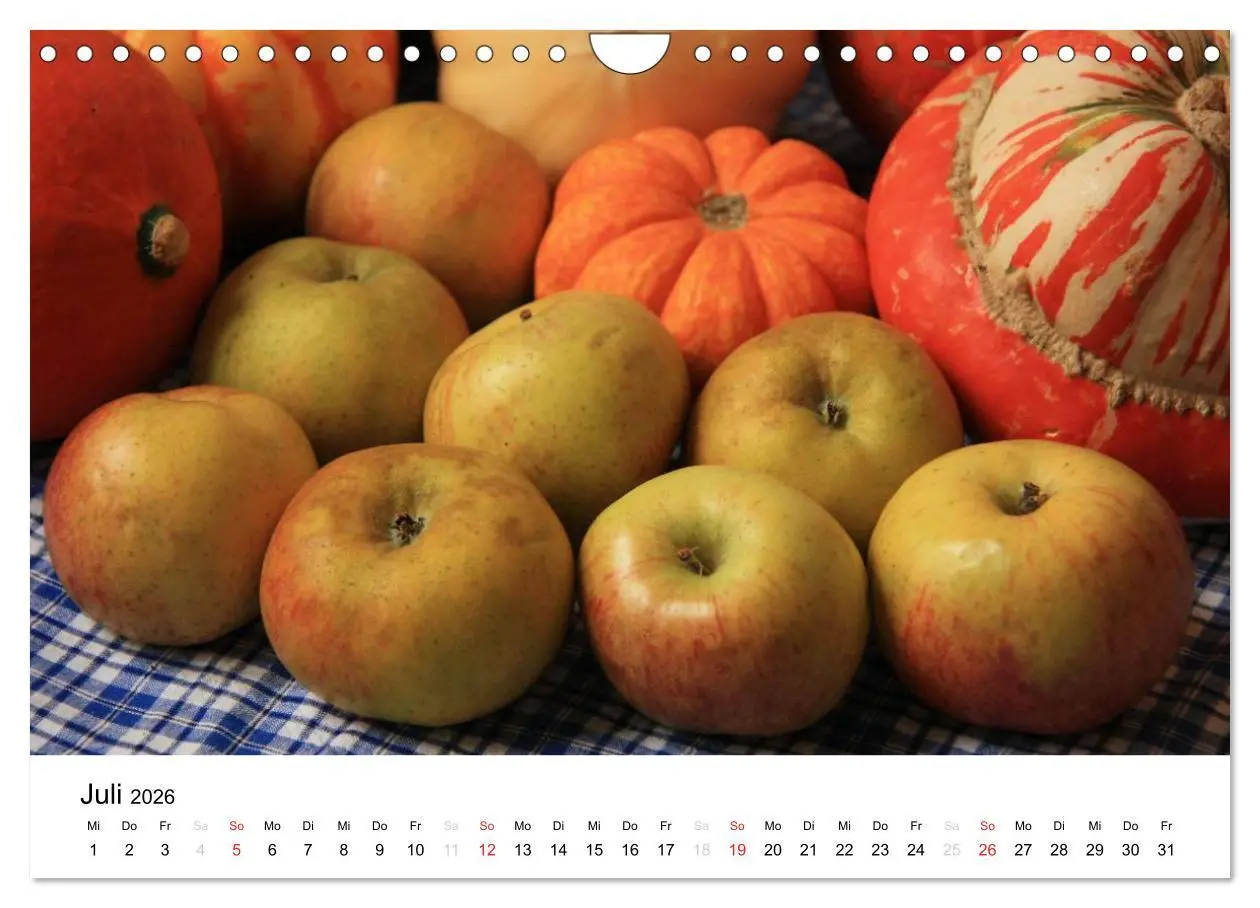 Bild: 9783516162868 | Alte Apfelsorten (Wandkalender 2026 DIN A4 quer), CALVENDO...
