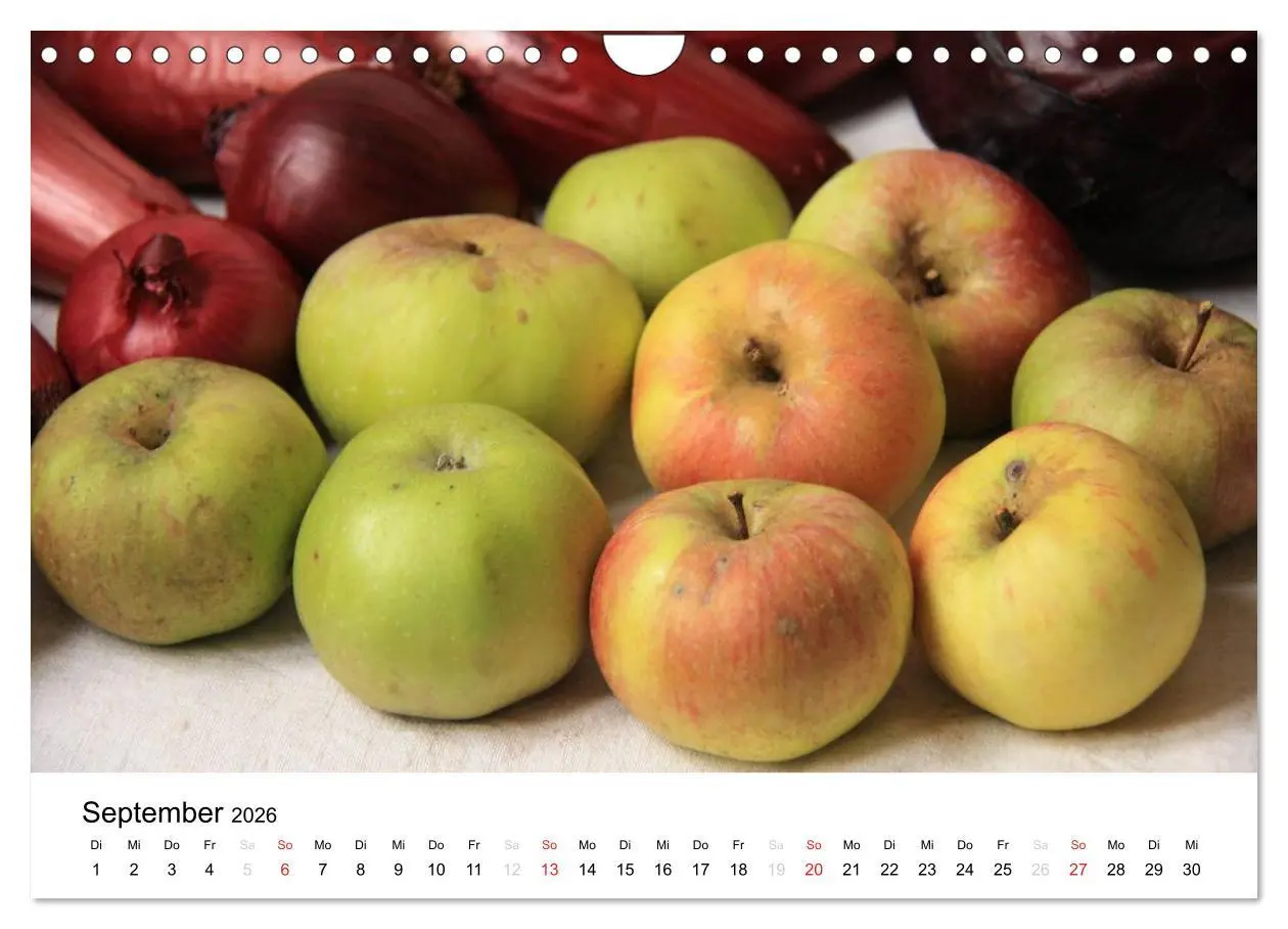 Bild: 9783516162868 | Alte Apfelsorten (Wandkalender 2026 DIN A4 quer), CALVENDO...