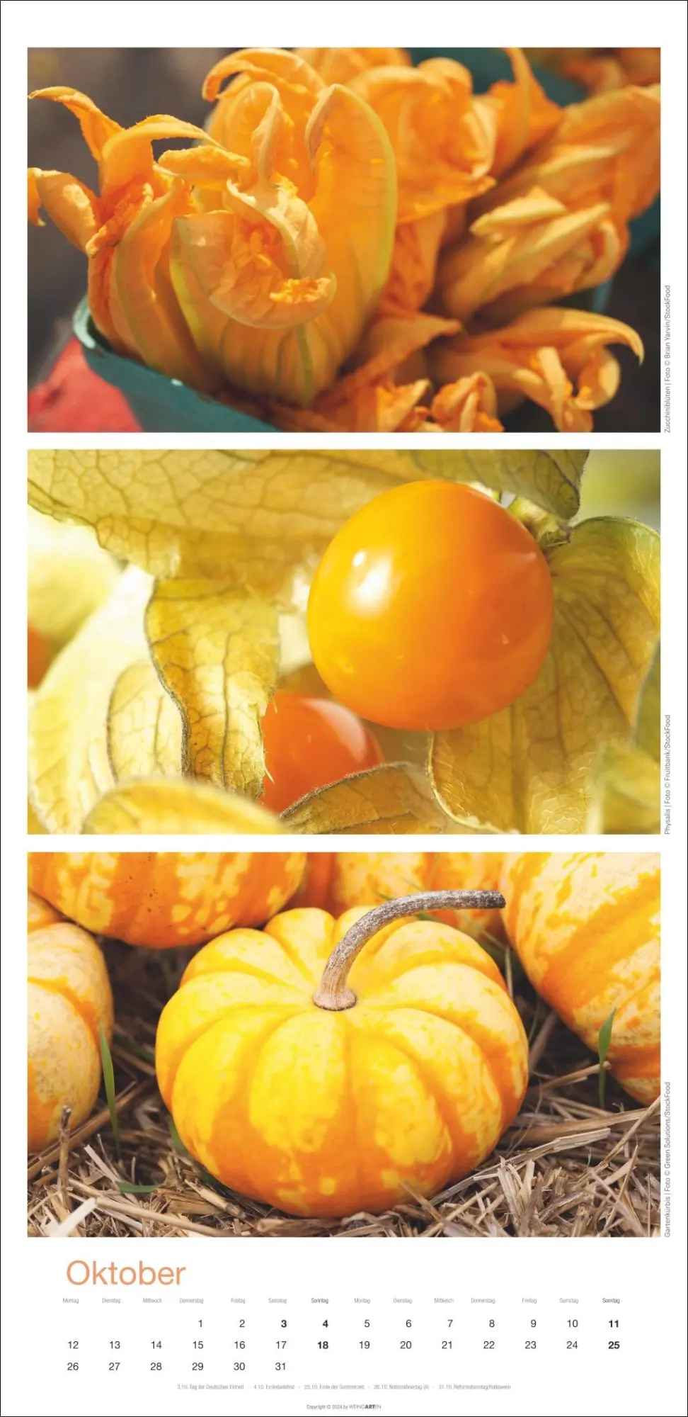 Bild: 9783839902868 | Colours of Food Kalender 2026 | Kalender | Spiralbindung | 14 S.