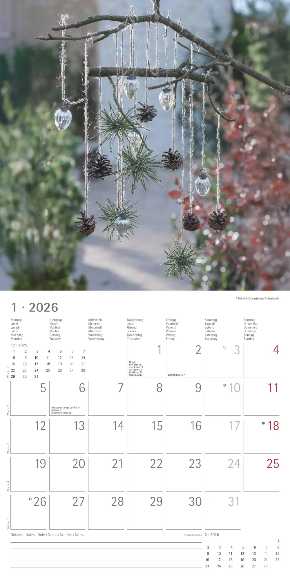 Bild: 4069095002968 | Gartendekor 2026 - Broschürenkalender 30x30 cm (30x60 geöffnet) -...