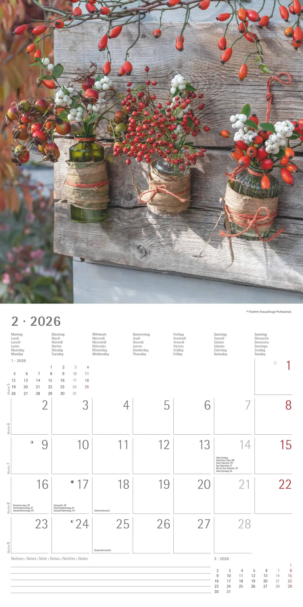 Bild: 4069095002968 | Gartendekor 2026 - Broschürenkalender 30x30 cm (30x60 geöffnet) -...