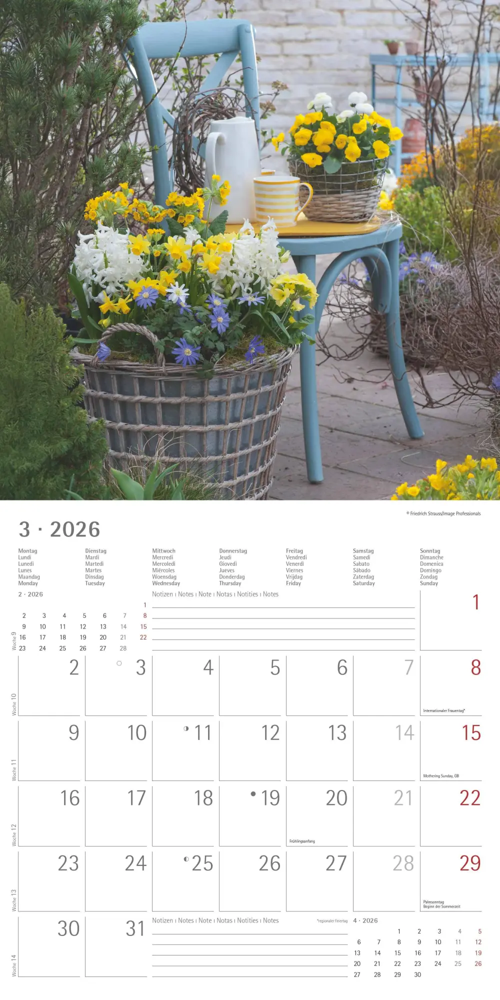 Bild: 4069095002968 | Gartendekor 2026 - Broschürenkalender 30x30 cm (30x60 geöffnet) -...