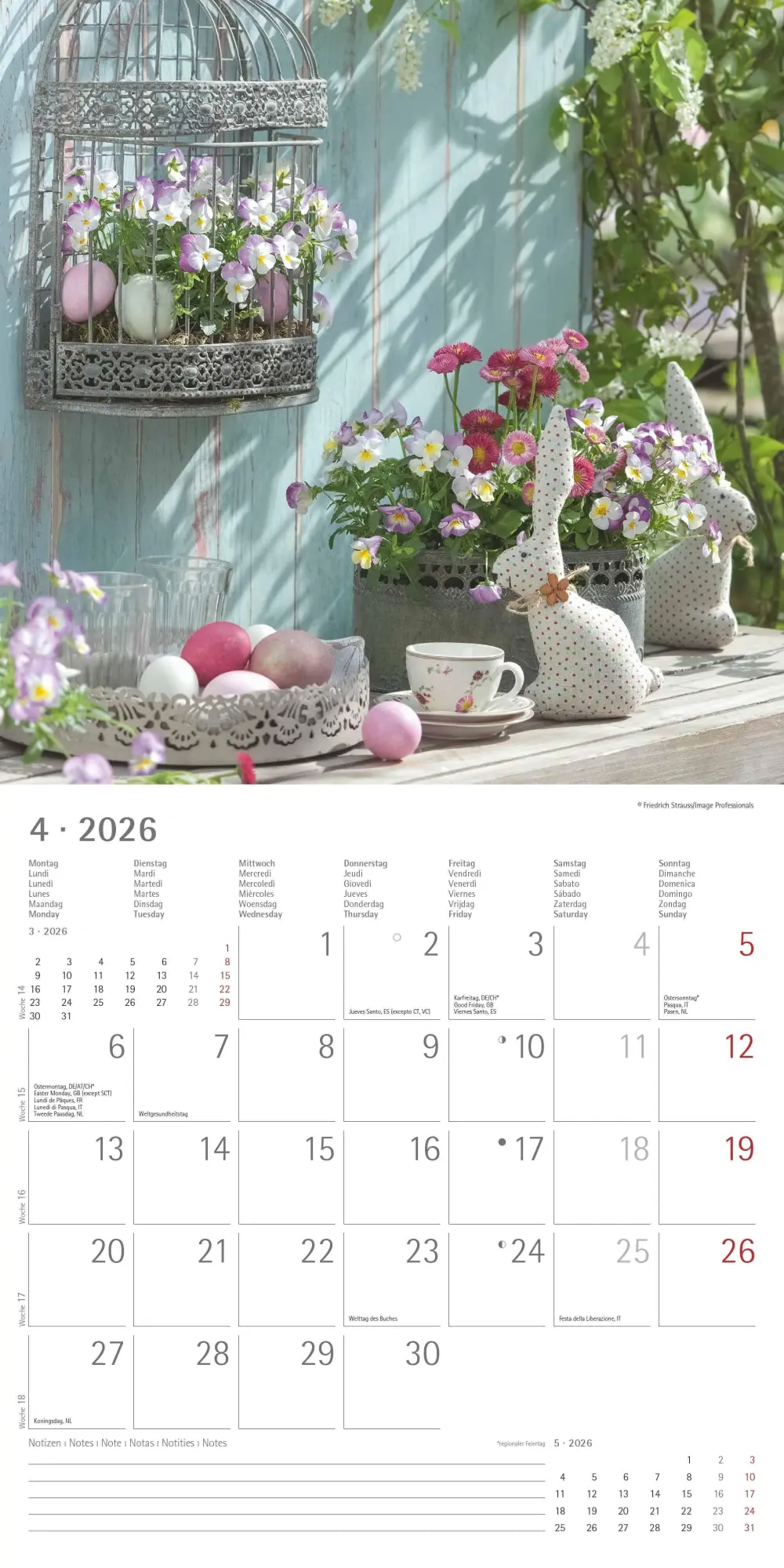 Bild: 4069095002968 | Gartendekor 2026 - Broschürenkalender 30x30 cm (30x60 geöffnet) -...