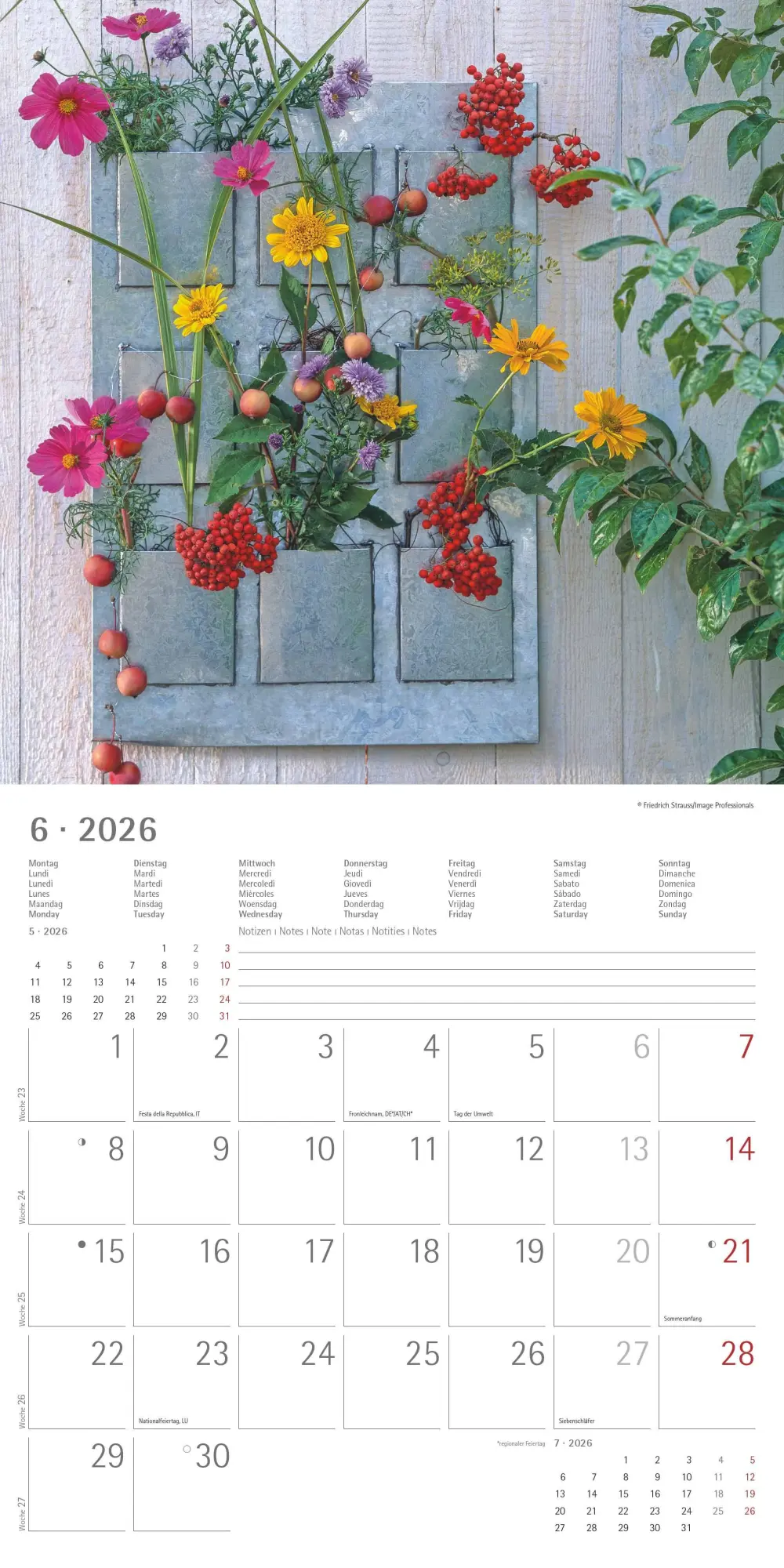 Bild: 4069095002968 | Gartendekor 2026 - Broschürenkalender 30x30 cm (30x60 geöffnet) -...
