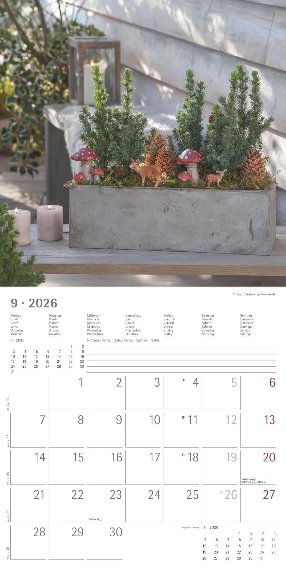 Bild: 4069095002968 | Gartendekor 2026 - Broschürenkalender 30x30 cm (30x60 geöffnet) -...