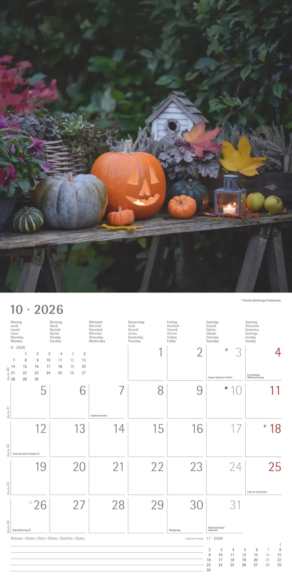 Bild: 4069095002968 | Gartendekor 2026 - Broschürenkalender 30x30 cm (30x60 geöffnet) -...