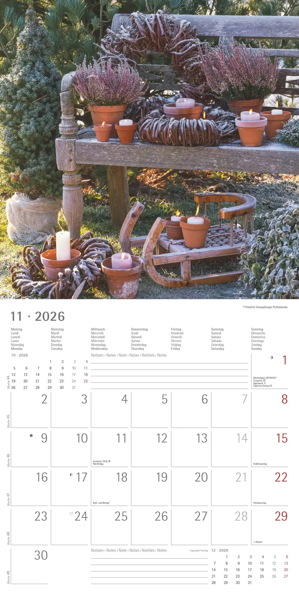 Bild: 4069095002968 | Gartendekor 2026 - Broschürenkalender 30x30 cm (30x60 geöffnet) -...