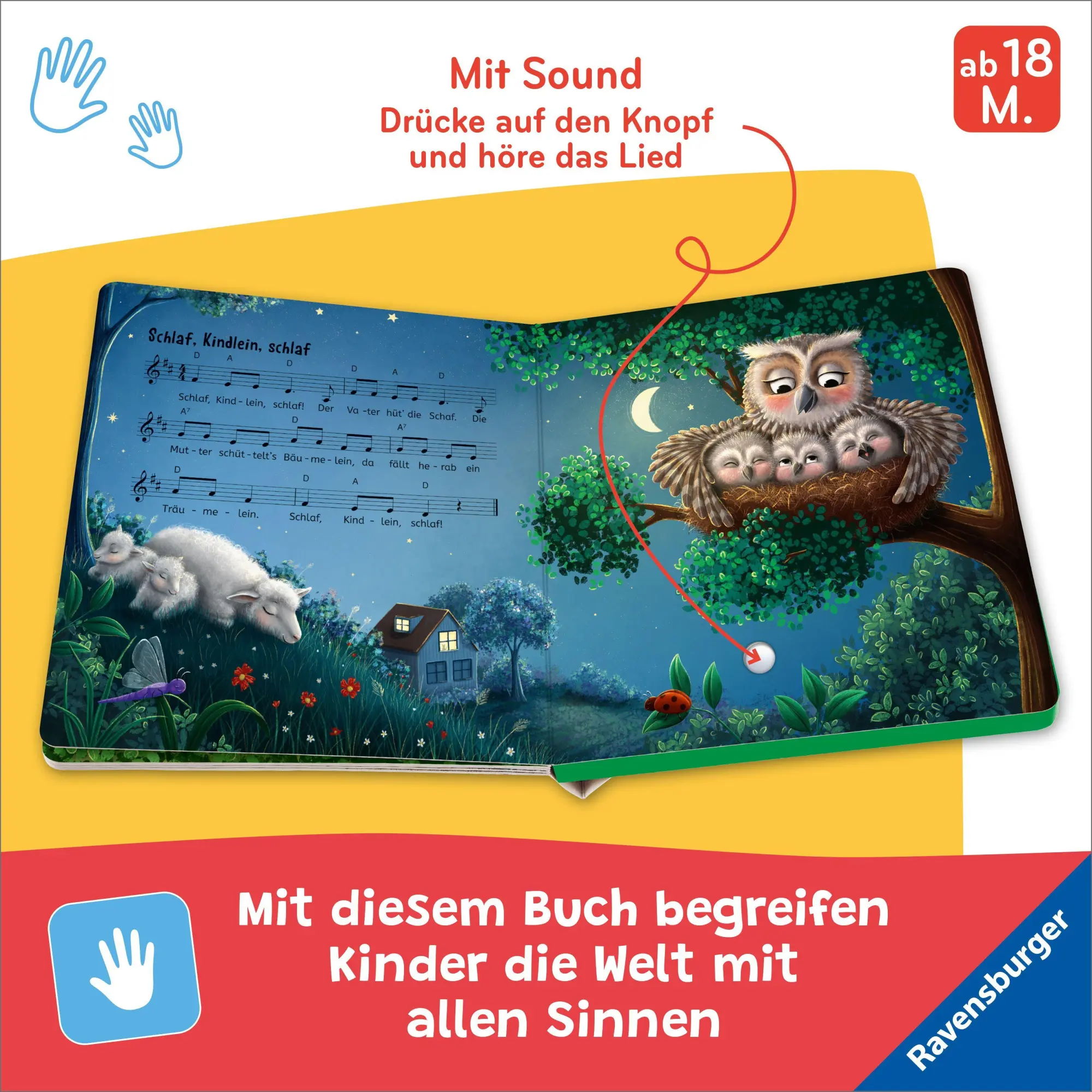 Bild: 9783473422968 | Hör mal hin - Alle meine Entchen: Meine ersten Lieblingslieder | Buch