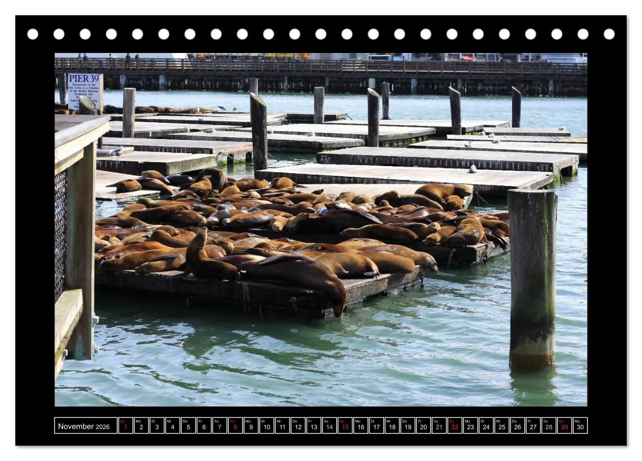 Bild: 9783516152968 | Wunderbares San Francisco (Tischkalender 2026 DIN A5 quer),...