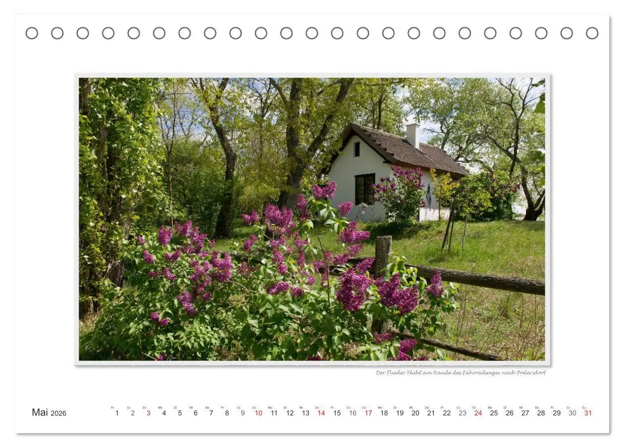 Bild: 9783516222968 | Neusiedler See / CH-Version (Tischkalender 2026 DIN A5 quer),...