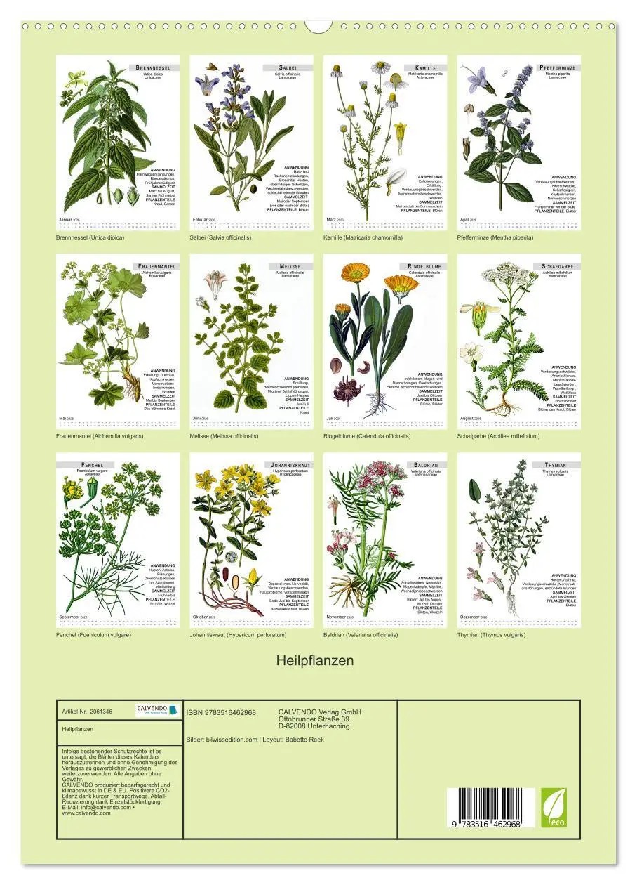 Bild: 9783516462968 | Heilpflanzen (hochwertiger Premium Wandkalender 2026 DIN A2 hoch),...