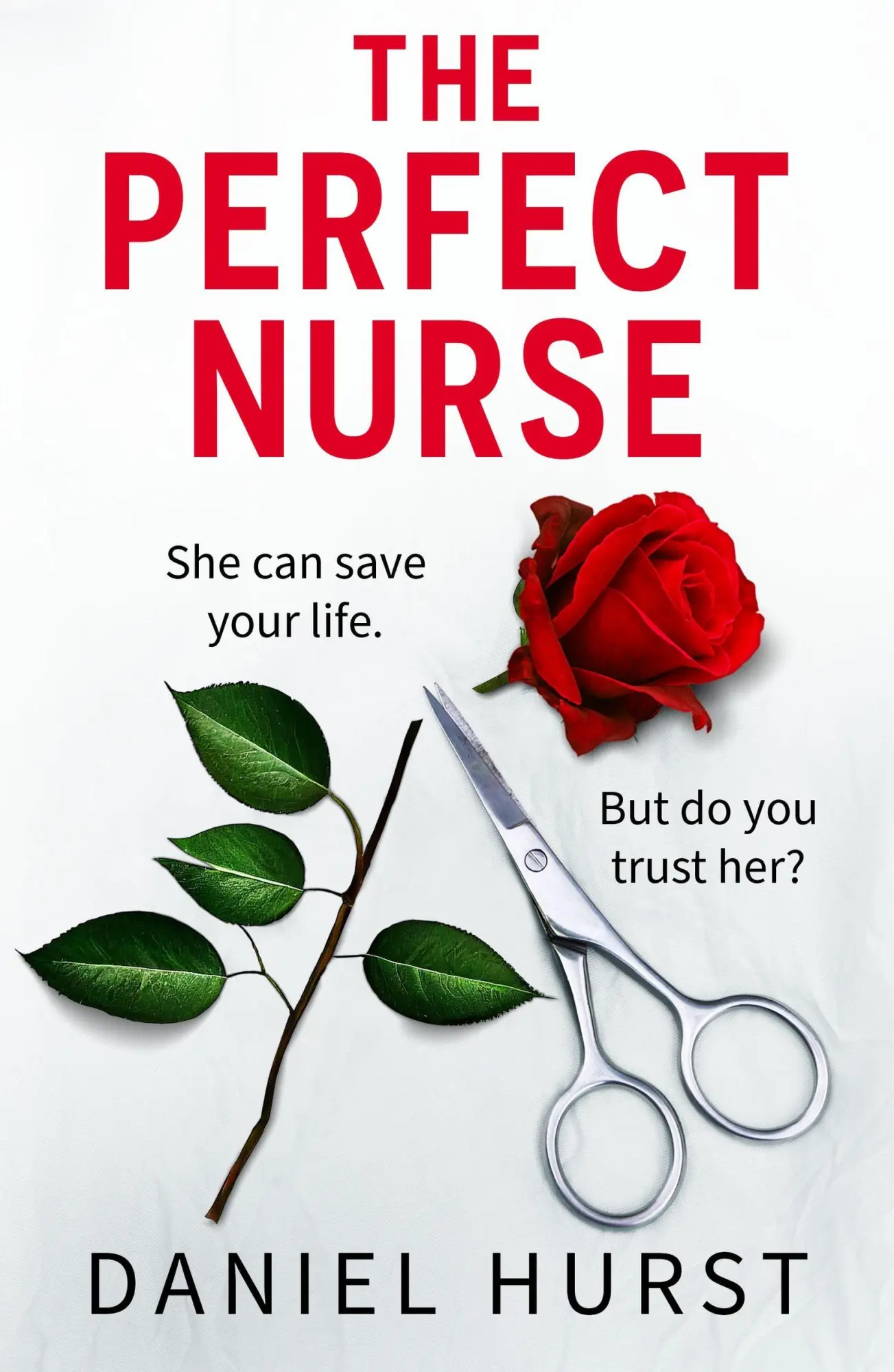 Cover: 9781836183068 | The Perfect Nurse | Daniel Hurst | Taschenbuch | Englisch | 2025