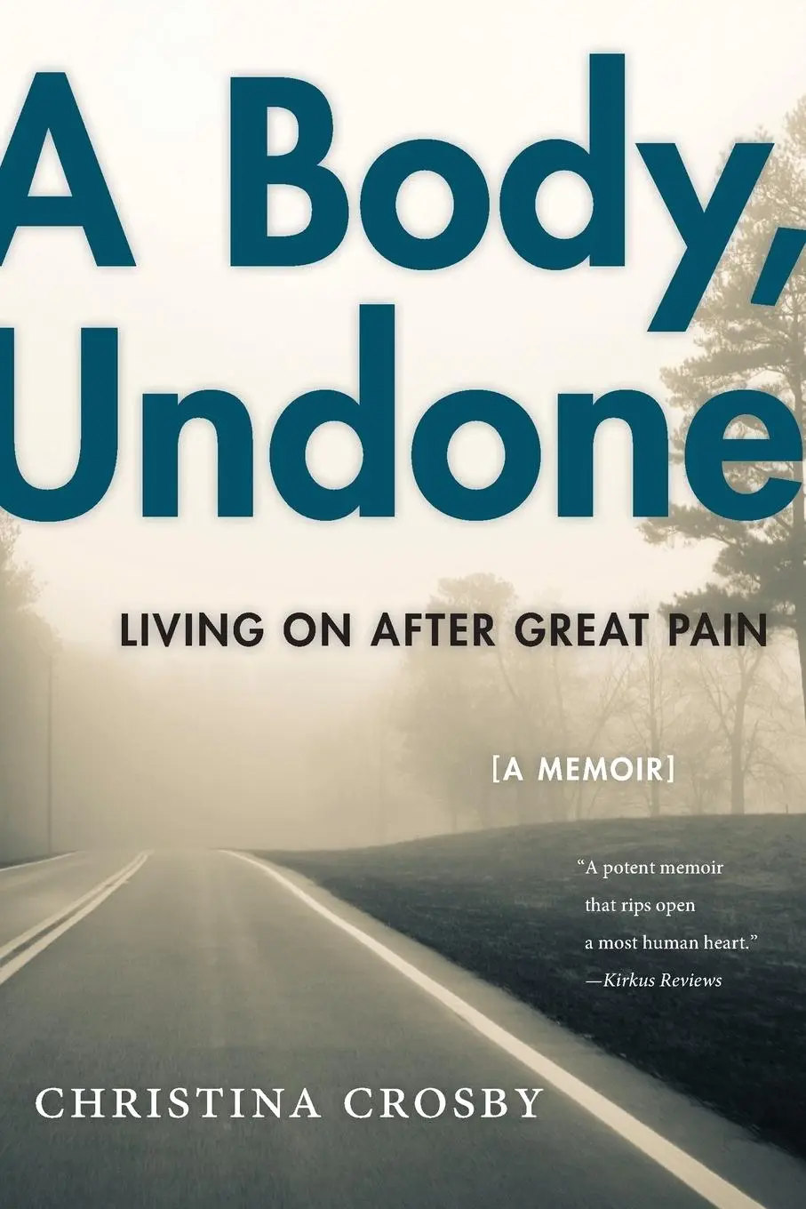 Cover: 9781479853168 | A Body, Undone | Living on After Great Pain | Christina Crosby | Buch